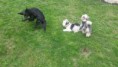 /album/fotogalerie/a12994504-990088461084215-8841065676852422469-n-jpg/
