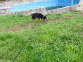 /album/fotogalerie/a13007318-992872454139149-6251105859394114536-n-jpg/
