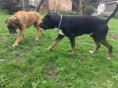 /album/fotogalerie/a13012718-991588490934212-6106811253151880926-n-jpg/