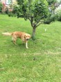 /album/fotogalerie/a13575835-1042324352527292-2286592453128393246-o-jpg/